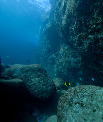 © Roddy Grimes Graeme, The Antigua and Barbuda  Tourism Authority