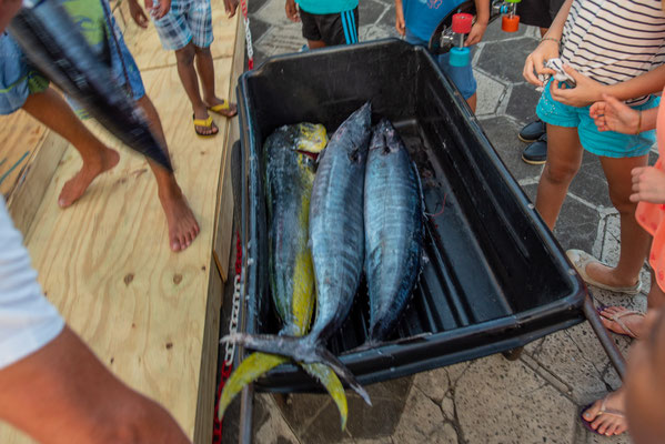 Fiesta de pescadores en Pointe-à-Pitre © Guillaume Aricique, Comité du Tourisme des Îles de la Guadeloupe CTIG