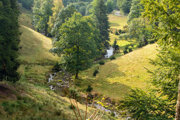 Tonbachtal