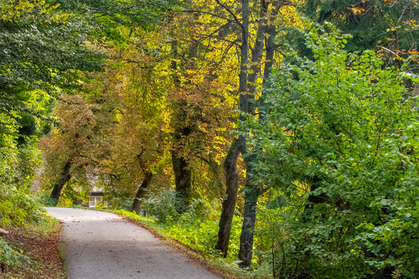 Schöne Farben in Herbst