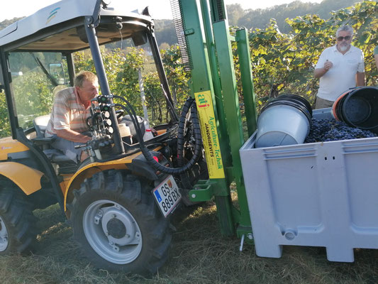 Direktträgerreben Wein  Uhudler Frizzante  Uhudler Rot  Uhudler Traubensaft  Uhudler Marmelade  Familienweingut Südburgenland  Uhudler kaufen  Uhudler online kaufen  Uhudler Südburgenland  Uhudler Wein  echter Uhudler  Uhudler Shop