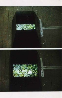 "Pusteblume", Video Installation, Grenoble, 2000