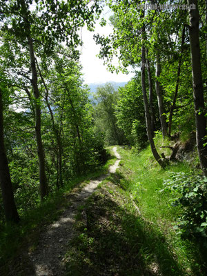 Ancien Bisse de Fan / Bisse de Fang