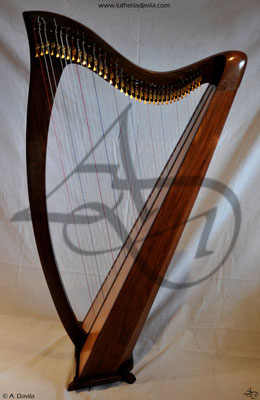 Harp 36 strings in wood of black walnut, soundboard of european spruce