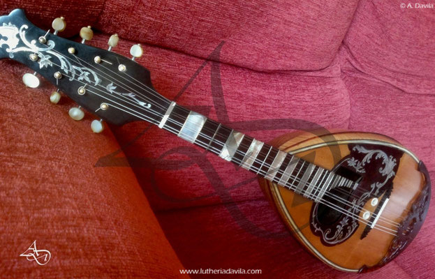 Restauração definitiva de mandolin Raffaele Calace.