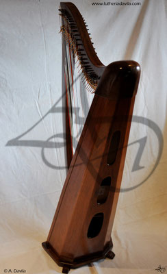 Harp 36 strings in wood of black walnut, soundboard of european spruce