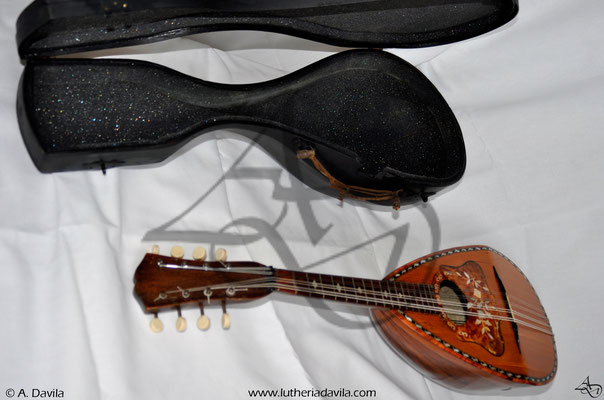 Final restauración mandolina Stridello y estuche.