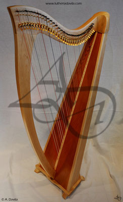 Harp 36 strings in wood of maple, soundboard of western red cedar