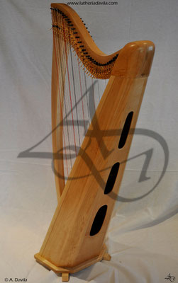 Harp 36 strings in wood of maple, soundboard of western red cedar