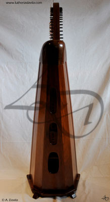 Harp 36 strings in wood of black walnut, soundboard of european spruce