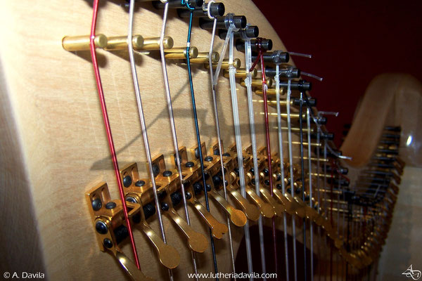 Harpe 36 cordes érable table d'harmonie et épicéa