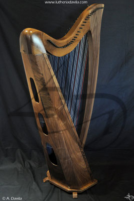 Harp 36 strings in wood of black walnut, soundboard of european spruce