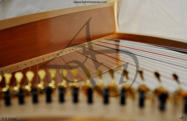 Arpa 36 cuerdas madera de arce y tapa armónica cedro rojo