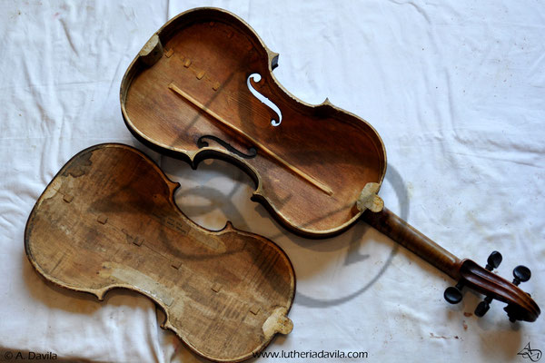 Arranxo e restauración de violín  1880.