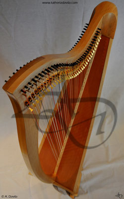 Harp 36 strings in wood of maple, soundboard of western red cedar