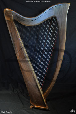 Harp 36 strings in wood of black walnut, soundboard of european spruce