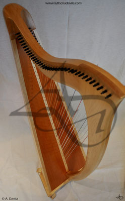 Harp 36 strings in wood of maple, soundboard of western red cedar