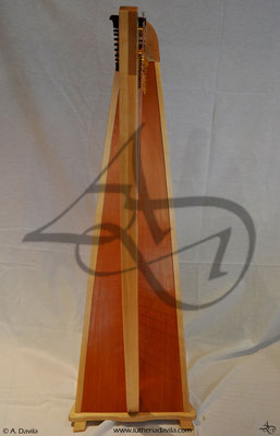 Harp 36 strings in wood of maple, soundboard of western red cedar