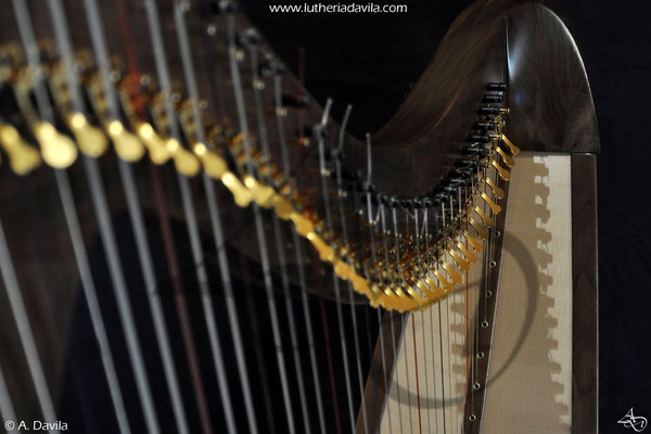 Harpe 36 cordes bois de noyer table d'harmonie épicéa.