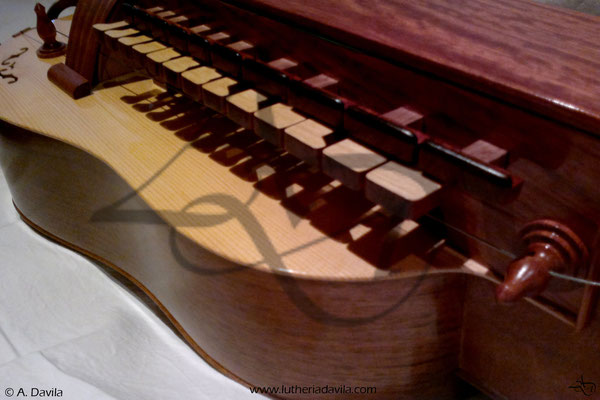 Vielle à roue en noyer et bubinga avec table en pin épicéa