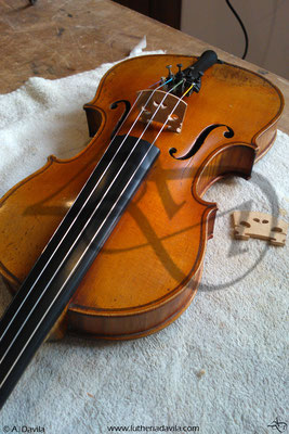 Novo cavalete e cordas de violino.