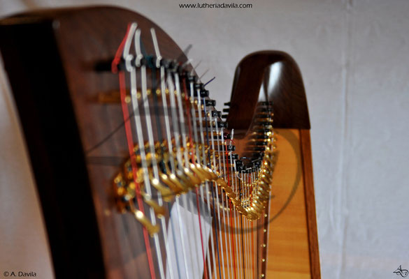 Harpe 36 cordes bois de noyer table d'harmonie épicéa.