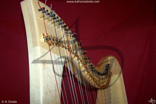 Arpa 36 cuerdas madera de arce y tapa armónica de abeto