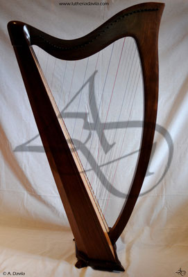 Harp 36 strings in wood of black walnut, soundboard of european spruce