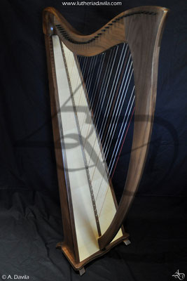 Harpe 36 cordes bois de noyer table d'harmonie épicéa.