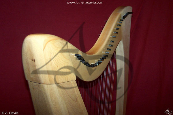 Harpe 36 cordes érable table d'harmonie et épicéa