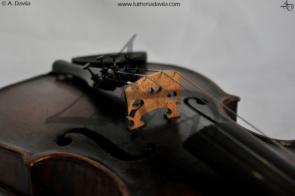 Violin repair and restoration 1880.
