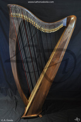 Harp 36 strings in wood of black walnut, soundboard of european spruce