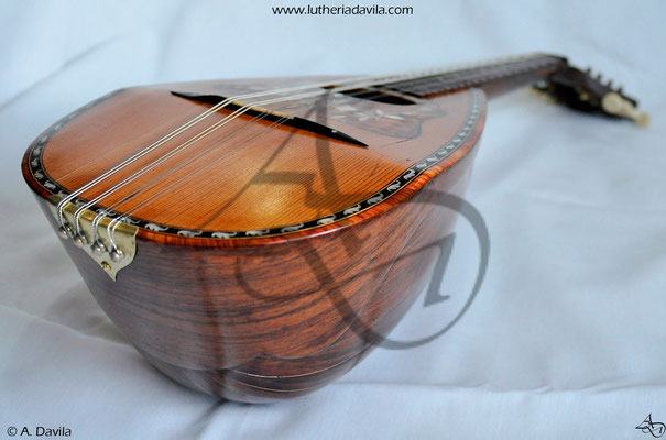 Stridello mandolin restoration final.