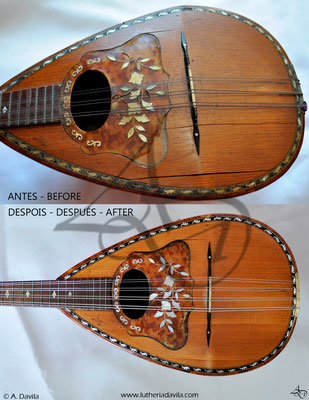Stridello mandolin restoration cover repair comparison.