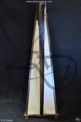 Harp 36 strings in wood of black walnut, soundboard of european spruce