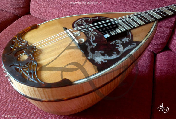 Restauração definitiva de mandolin Raffaele Calace.