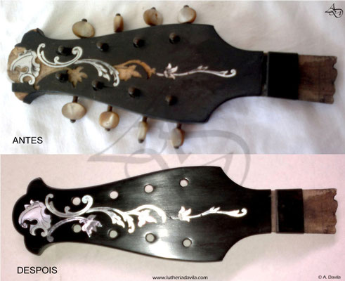 Comparaison de chevillier avant et après la restauration de la mandoline Raffaele Calace.