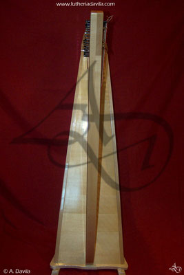 Harpe 36 cordes érable table d'harmonie et épicéa