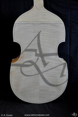 Viola da Gamba bass