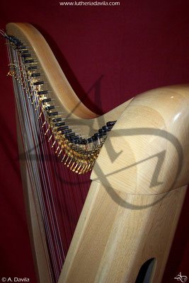 Harpe 36 cordes érable table d'harmonie et épicéa