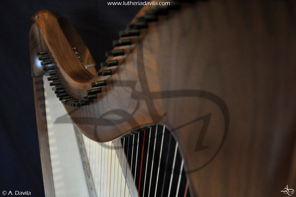 Harpa 36 cordas madeira de nogueira americana e tapa armónica de abeto