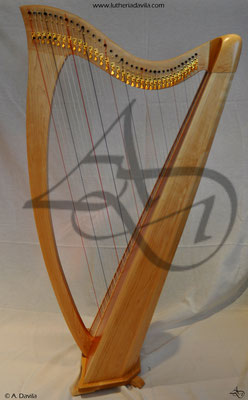 Harpa 36 cordas madeira de pradairo e tapa armónica de cedro vermello