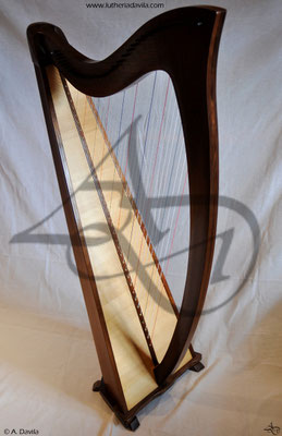 Harp 36 strings in wood of black walnut, soundboard of european spruce