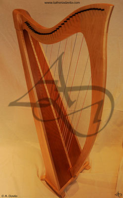 Harp 36 strings in wood of maple, soundboard of western red cedar