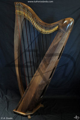 Harp 36 strings in wood of black walnut, soundboard of european spruce