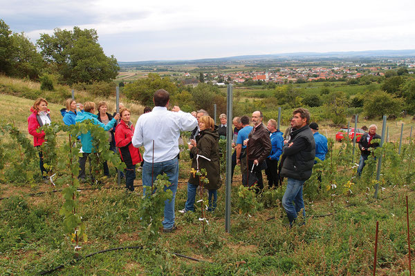 Ried Viehtrift Gruppe