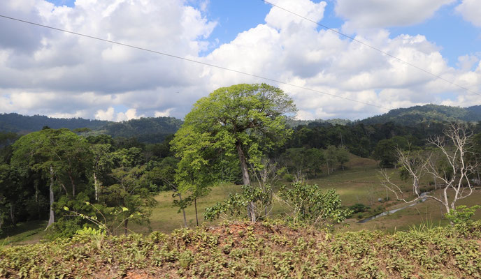 Back on the dirt road out of Drakes Bay we head towards the boarder of Panama - Our 9 month journey is slowly but surely coming to an end - Our destination Panama City is only 6ookm away!!