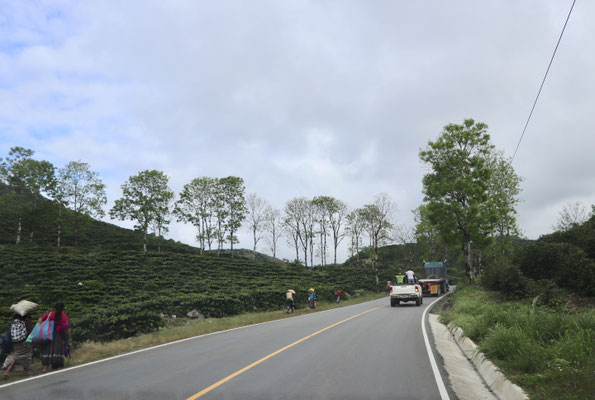 ..hoping to get to Coban in time to find the next place to overnight