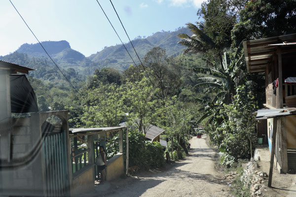 ...leaving Lanquin the road gets more and more narrower which makes it a challenge passing head on vehicles..