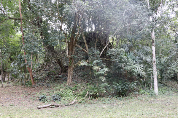 There are still many mayan buildings buried under the jungle